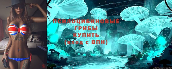 ПСИЛОЦИБИНОВЫЕ ГРИБЫ Алексеевка