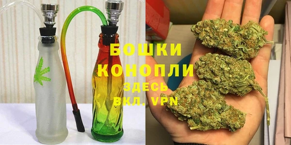 ПСИЛОЦИБИНОВЫЕ ГРИБЫ Алексеевка