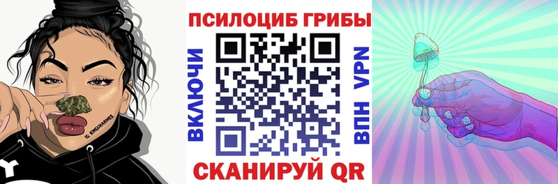 Галлюциногенные грибы мухоморы  shop формула  Моздок 